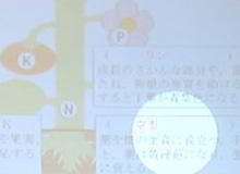 kurashiki_img03-2.jpg
